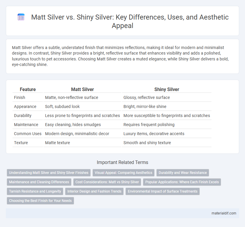 Matt Silver vs. Shiny Silver: Key Differences, Uses, and Aesthetic Appeal