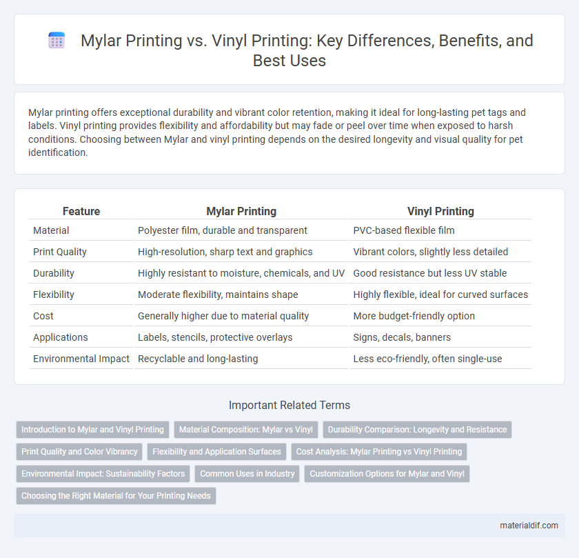 Mylar Printing vs. Vinyl Printing: Key Differences, Benefits, and Best Uses
