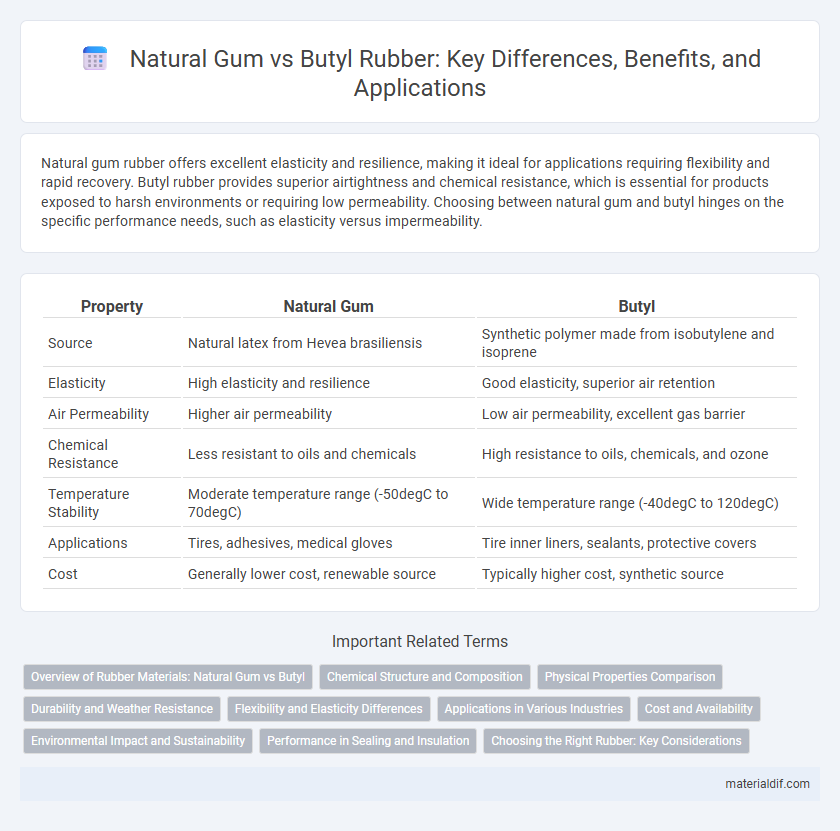 Natural Gum vs Butyl Rubber: Key Differences, Benefits, and Applications