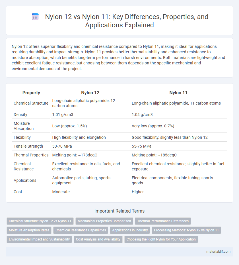 Nylon 12 vs Nylon 11: Key Differences, Properties, and Applications Explained