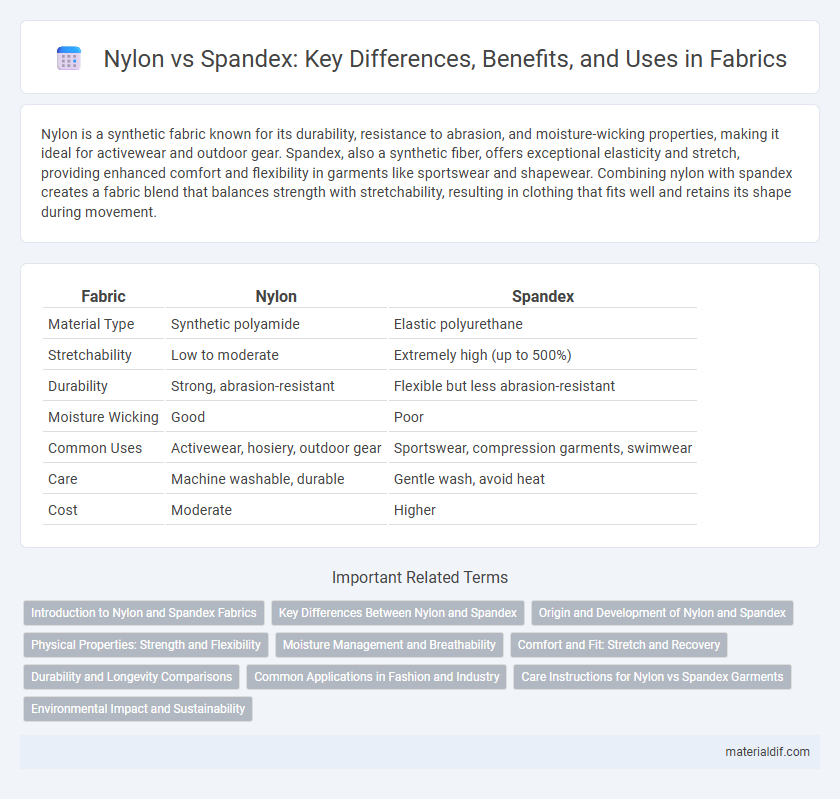 Nylon vs Spandex: Key Differences, Benefits, and Uses in Fabrics