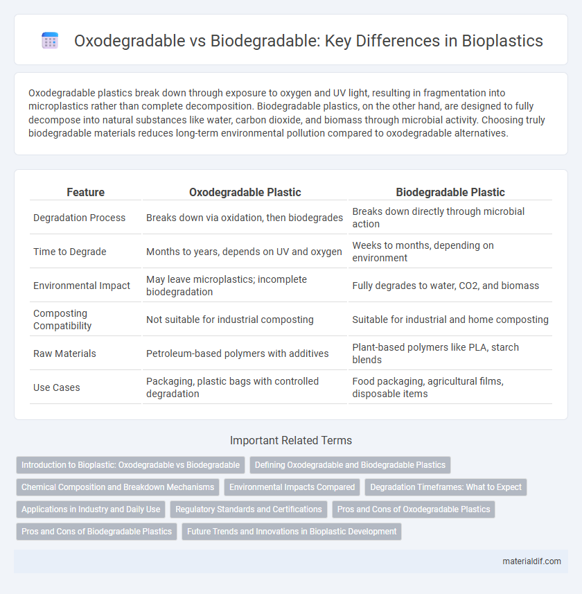 Oxodegradable vs Biodegradable: Key Differences in Bioplastics
