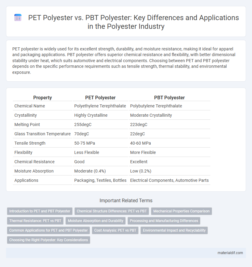 PET Polyester vs. PBT Polyester: Key Differences and Applications in the Polyester Industry