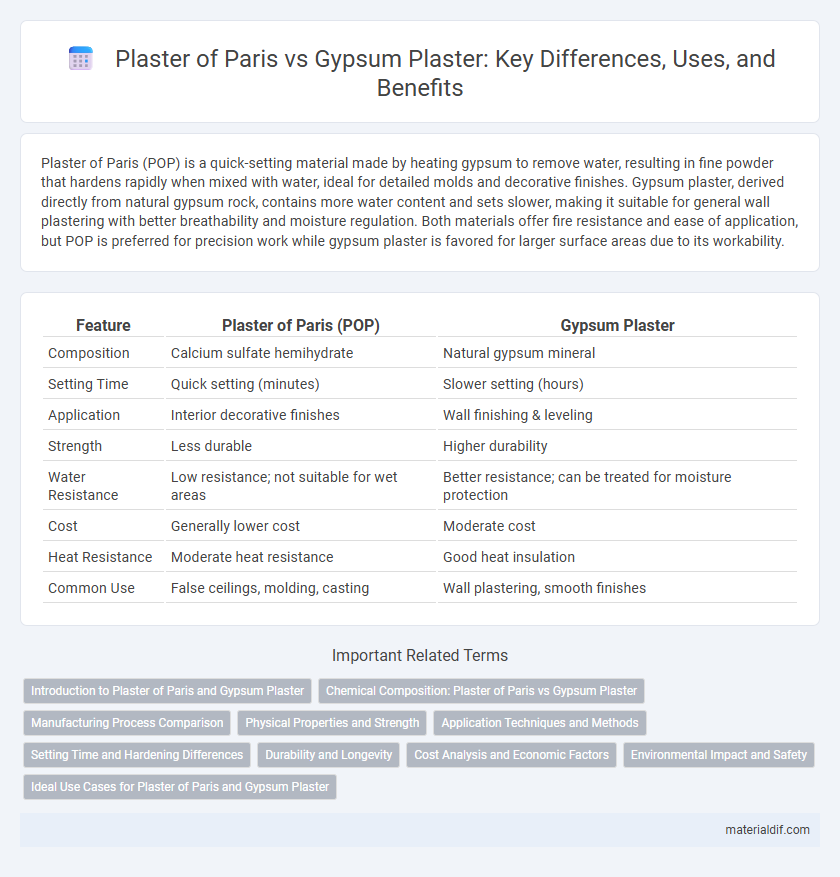 Plaster of Paris vs Gypsum Plaster: Key Differences, Uses, and Benefits