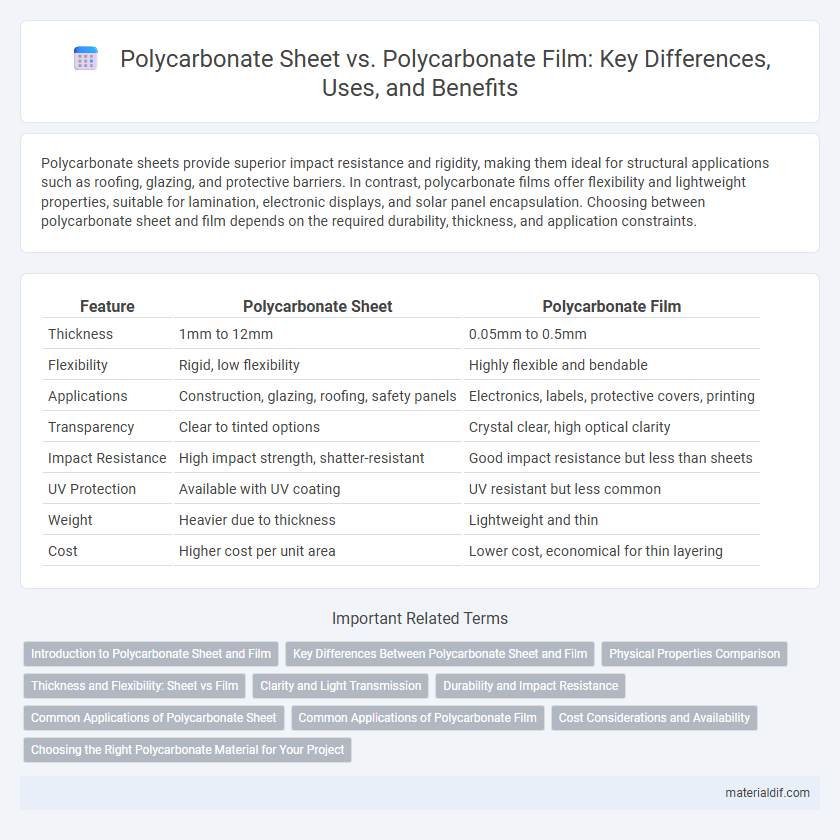 Polycarbonate Sheet vs. Polycarbonate Film: Key Differences, Uses, and Benefits