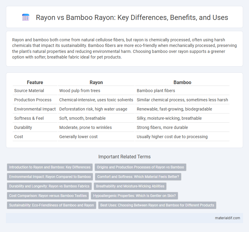 Rayon vs Bamboo Rayon: Key Differences, Benefits, and Uses