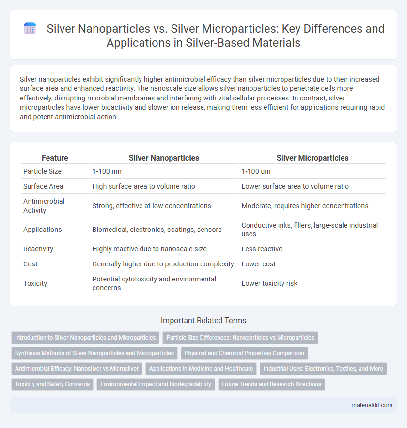 Silver Nanoparticles vs. Silver Microparticles: Key Differences and Applications in Silver-Based Materials
