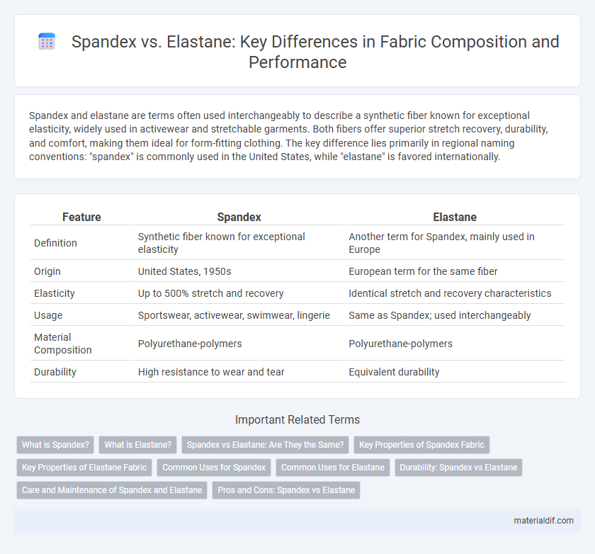 Spandex vs. Elastane: Key Differences in Fabric Composition and Performance