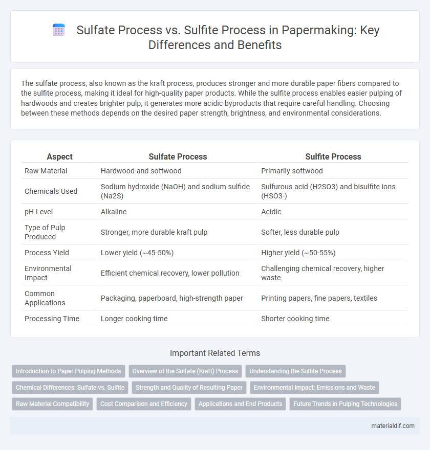 Sulfate Process vs. Sulfite Process in Papermaking: Key Differences and Benefits