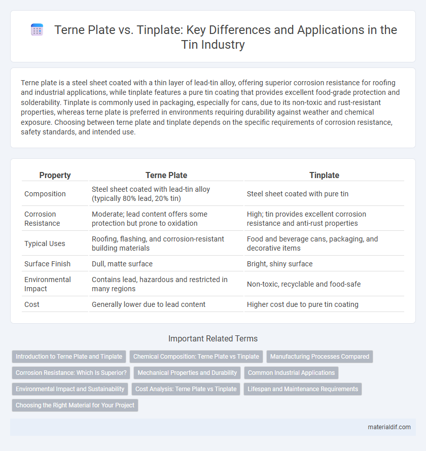 Terne Plate vs. Tinplate: Key Differences and Applications in the Tin Industry