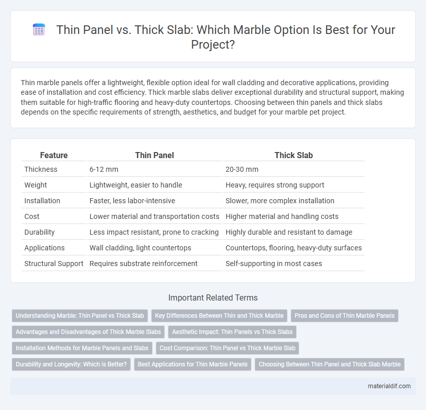 Thin Panel vs. Thick Slab: Which Marble Option Is Best for Your Project?