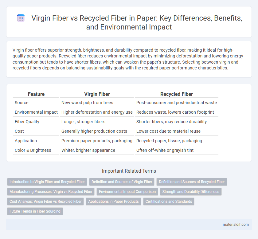 Virgin Fiber vs Recycled Fiber in Paper: Key Differences, Benefits, and Environmental Impact