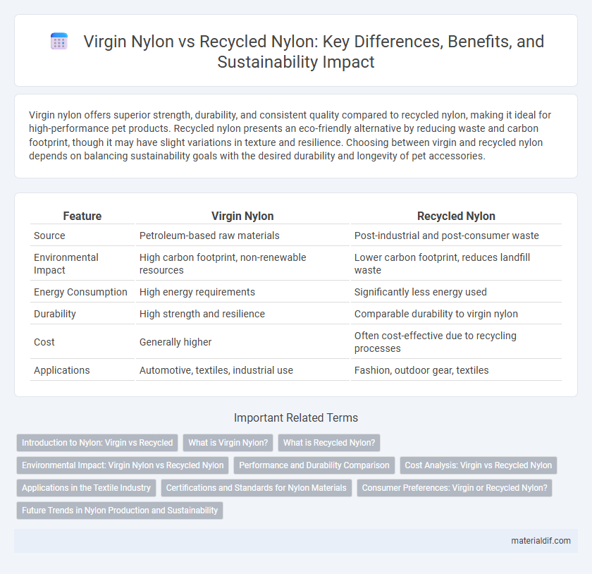 Virgin Nylon vs Recycled Nylon: Key Differences, Benefits, and Sustainability Impact