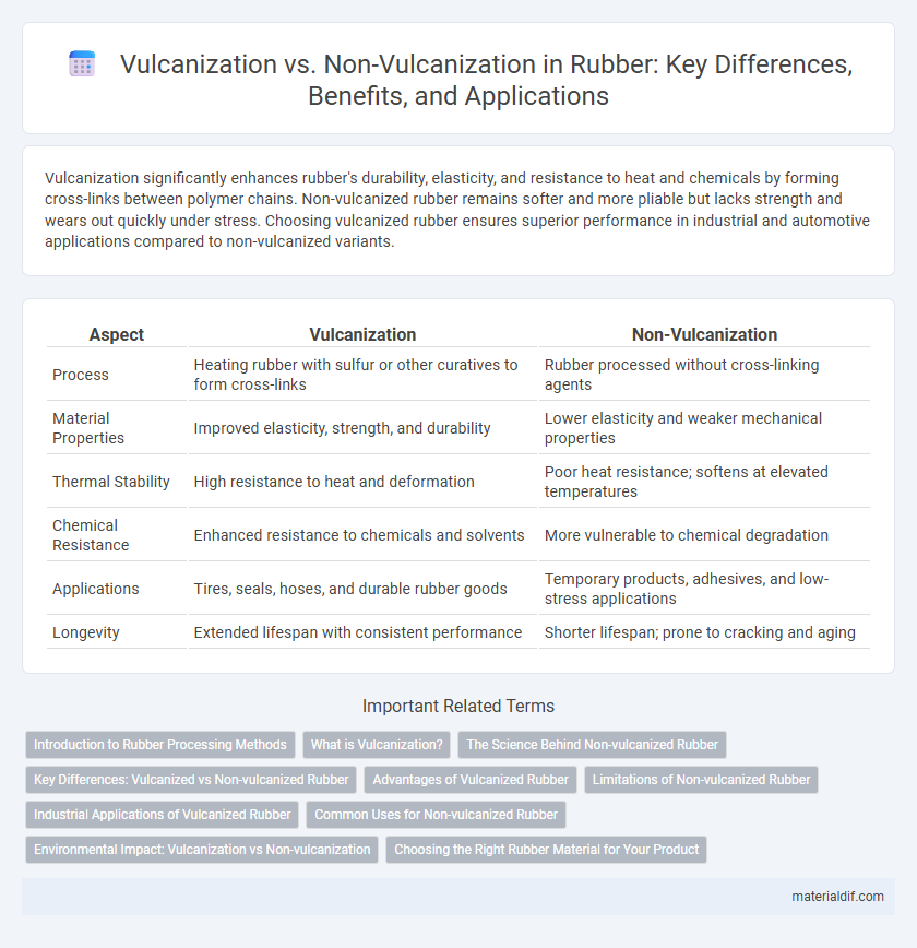 Vulcanization vs. Non-Vulcanization in Rubber: Key Differences, Benefits, and Applications