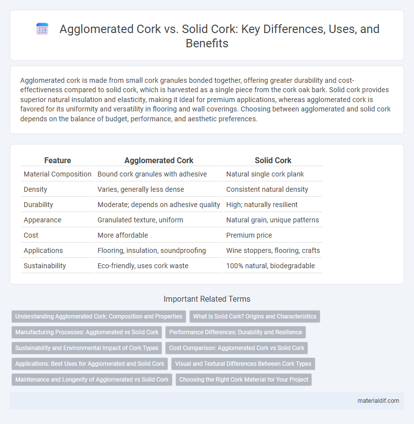 Agglomerated Cork vs. Solid Cork: Key Differences, Uses, and Benefits