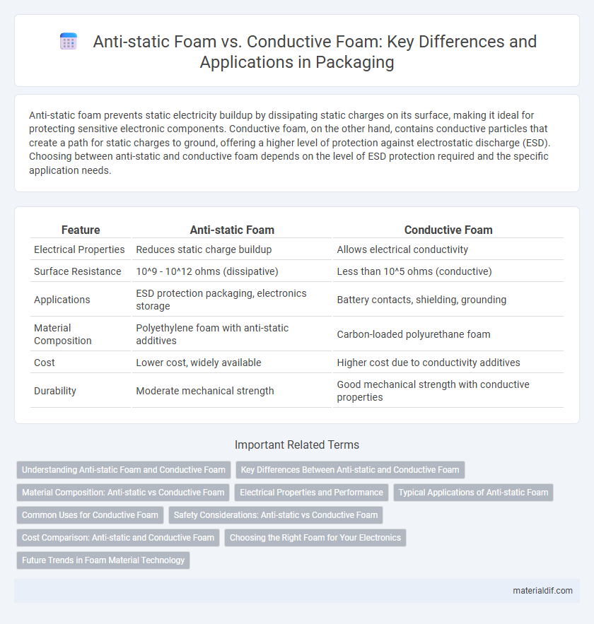 Anti-static Foam vs. Conductive Foam: Key Differences and Applications in Packaging