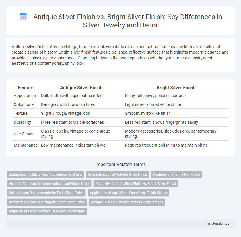 Antique Silver Finish vs. Bright Silver Finish: Key Differences in Silver Jewelry and Decor
