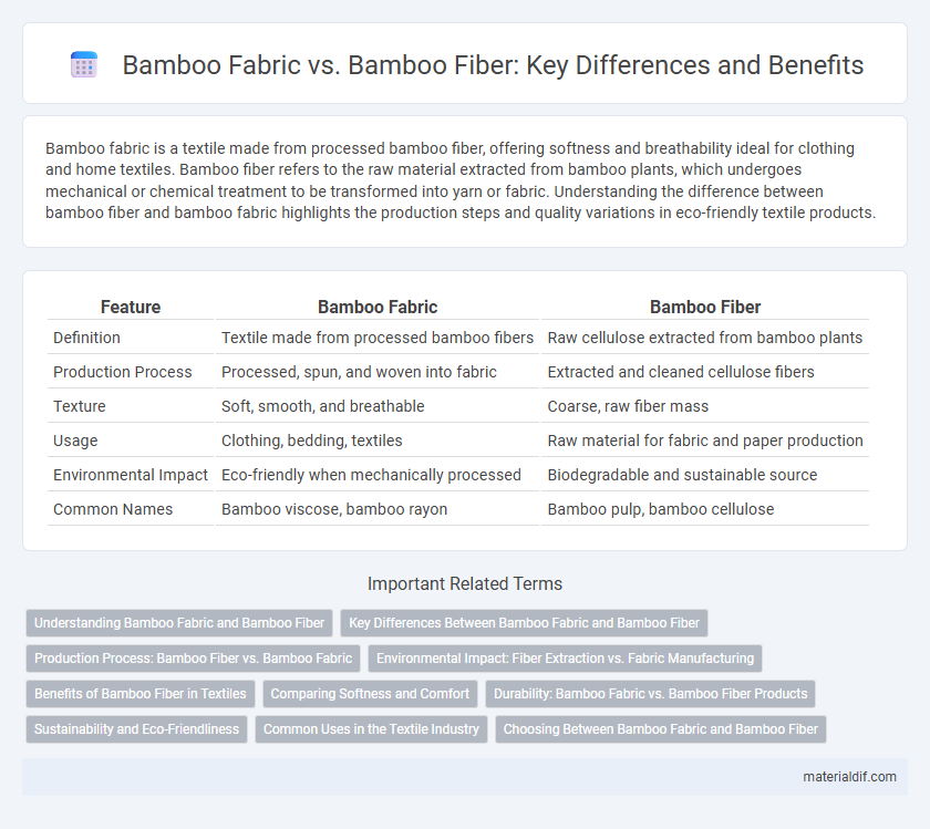 Bamboo Fabric vs. Bamboo Fiber: Key Differences and Benefits