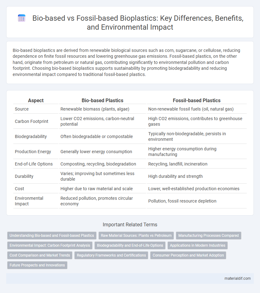 Bio-based vs Fossil-based Bioplastics: Key Differences, Benefits, and Environmental Impact