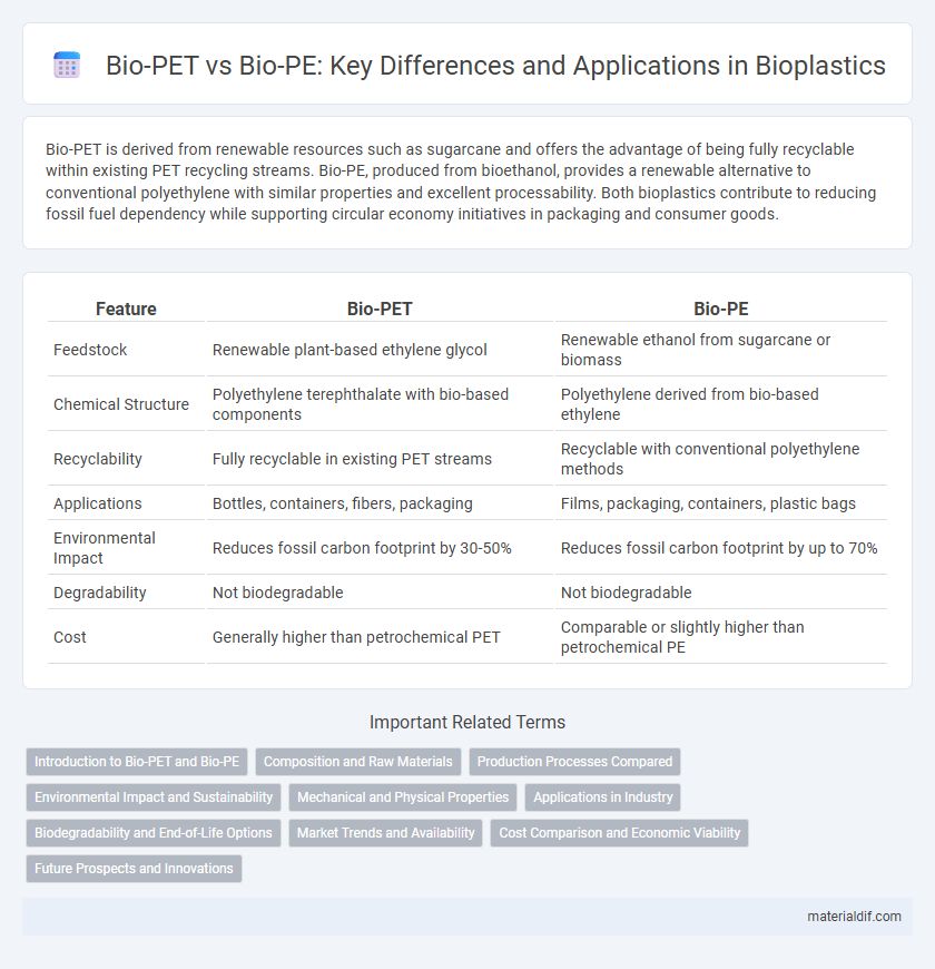 Bio-PET vs Bio-PE: Key Differences and Applications in Bioplastics