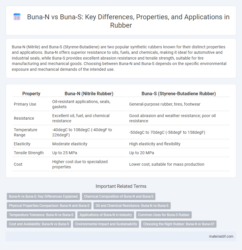 Buna-N vs Buna-S: Key Differences, Properties, and Applications in Rubber