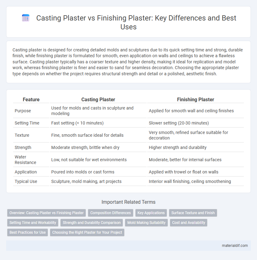 Casting Plaster vs Finishing Plaster: Key Differences and Best Uses