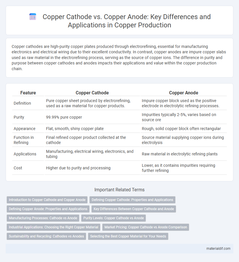 Copper Cathode vs. Copper Anode: Key Differences and Applications in Copper Production