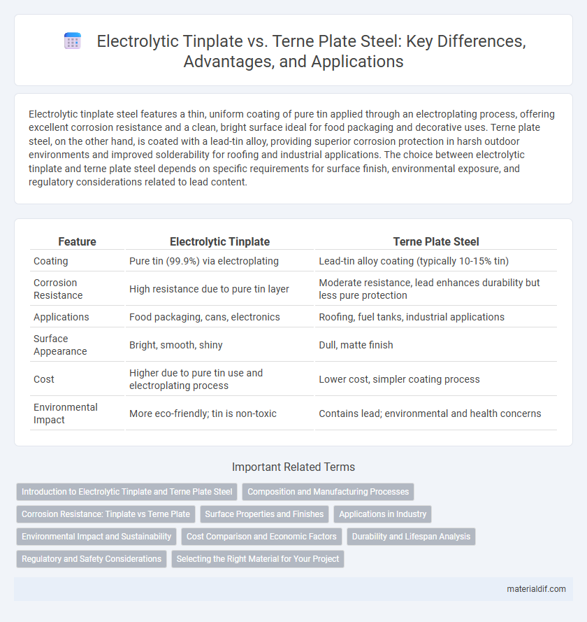 Electrolytic Tinplate vs. Terne Plate Steel: Key Differences, Advantages, and Applications