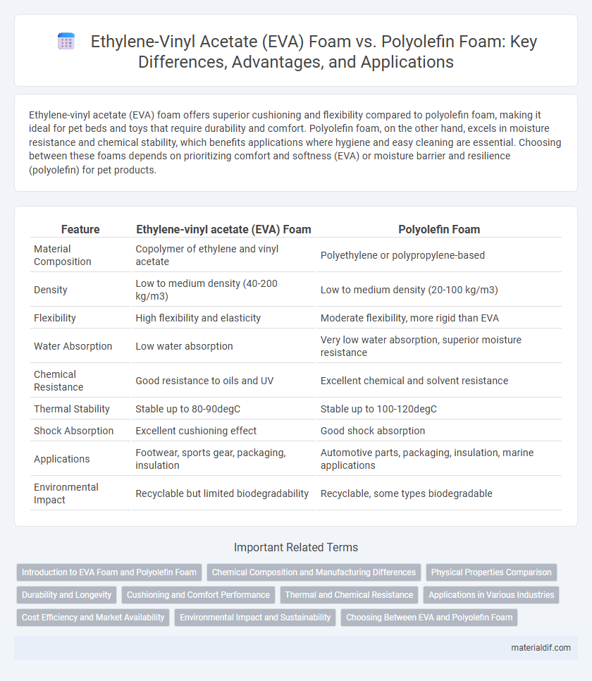 Ethylene-Vinyl Acetate (EVA) Foam vs. Polyolefin Foam: Key Differences, Advantages, and Applications