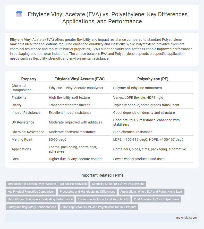 Ethylene Vinyl Acetate (EVA) vs. Polyethylene: Key Differences, Applications, and Performance