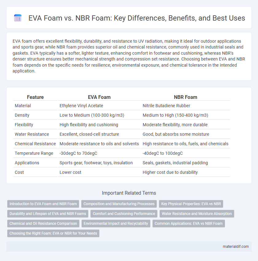 EVA Foam vs. NBR Foam: Key Differences, Benefits, and Best Uses