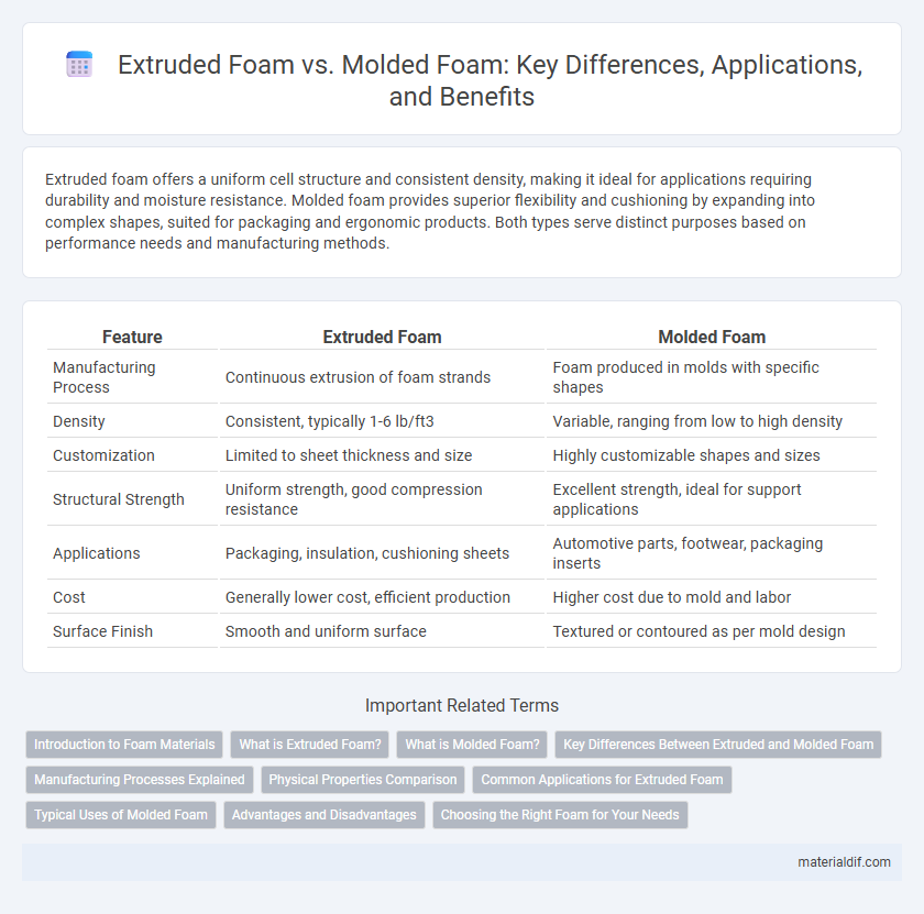 Extruded Foam vs. Molded Foam: Key Differences, Applications, and Benefits