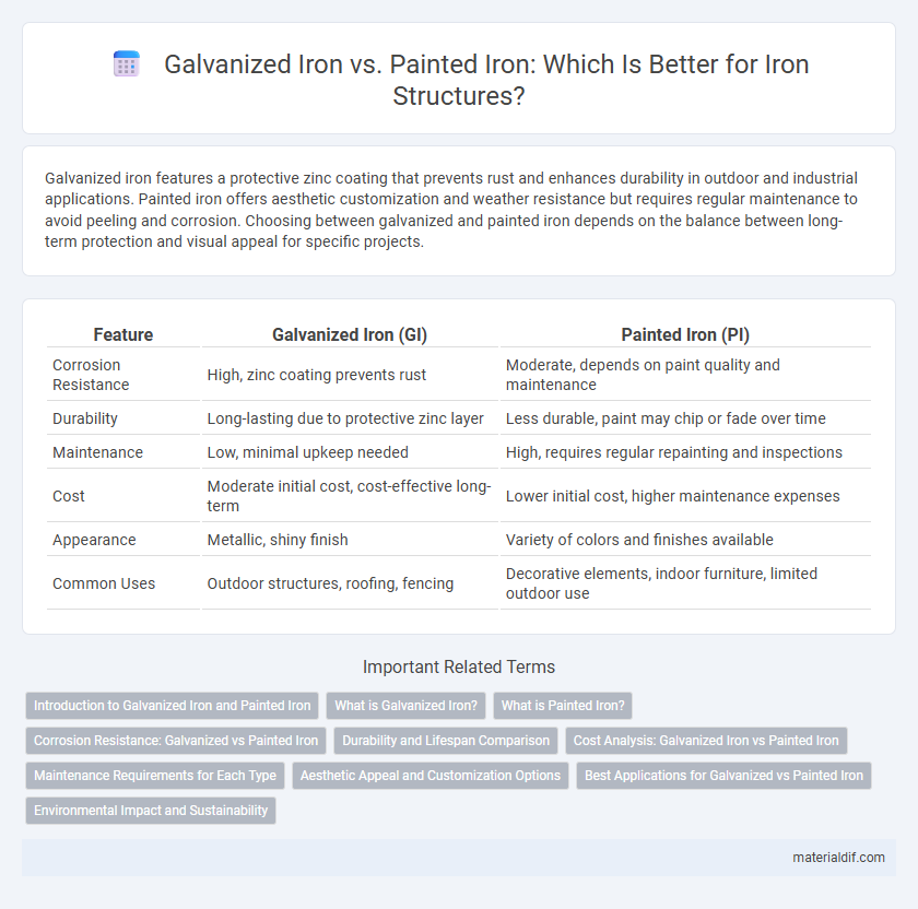 Galvanized Iron vs. Painted Iron: Which Is Better for Iron Structures?