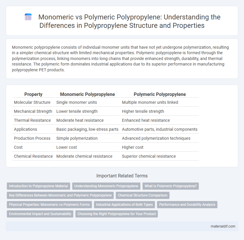 Monomeric vs Polymeric Polypropylene: Understanding the Differences in Polypropylene Structure and Properties