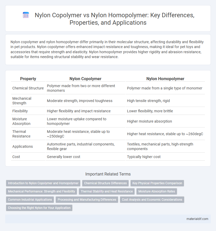 Nylon Copolymer vs Nylon Homopolymer: Key Differences, Properties, and Applications