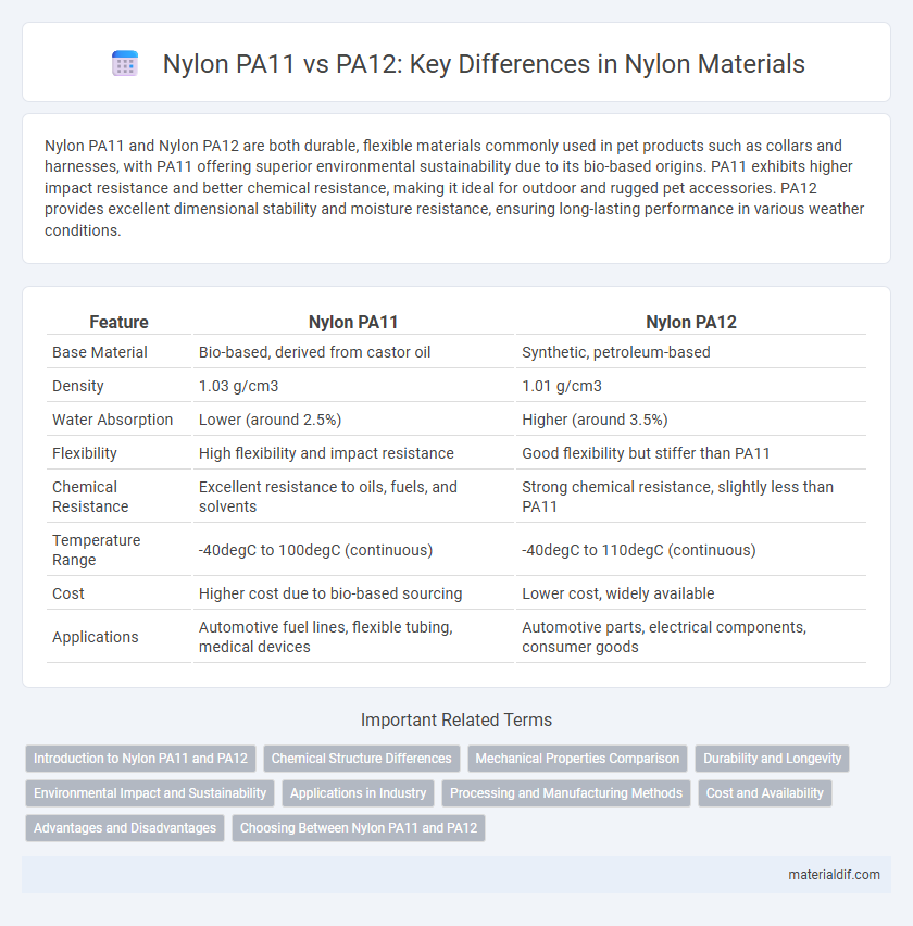 Nylon PA11 vs PA12: Key Differences in Nylon Materials