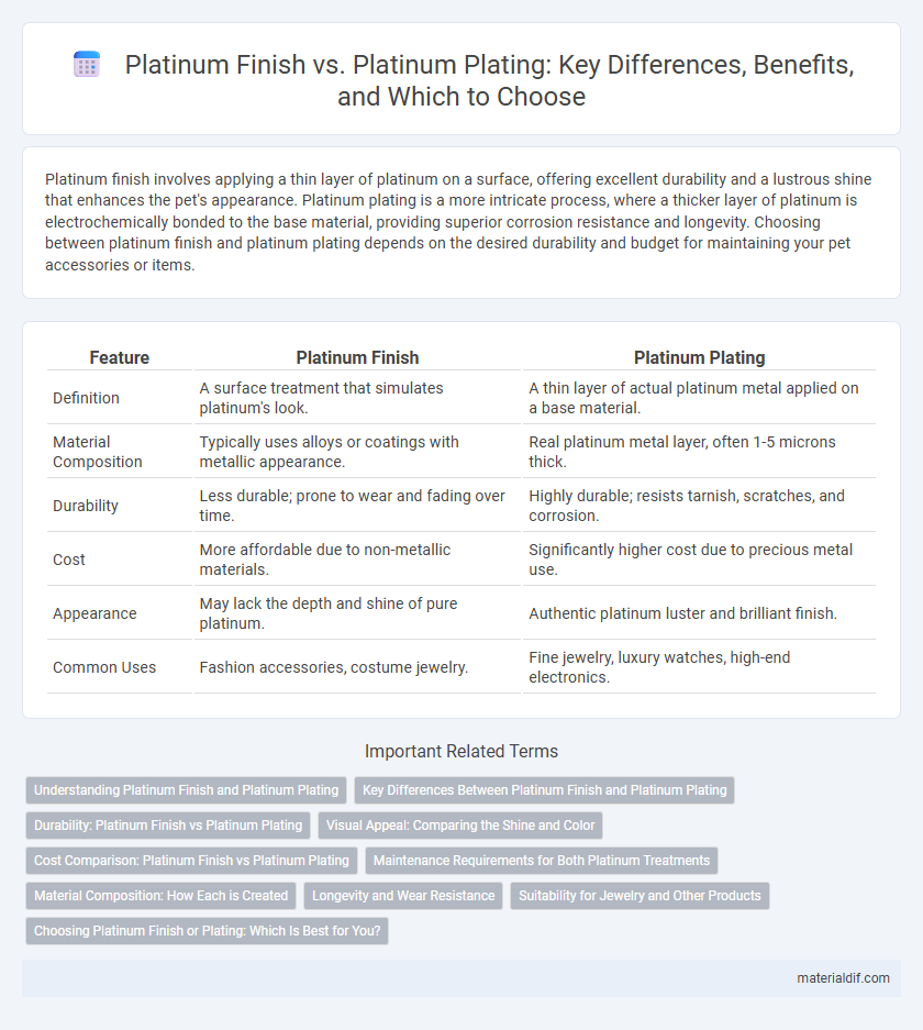 Platinum Finish vs. Platinum Plating: Key Differences, Benefits, and Which to Choose
