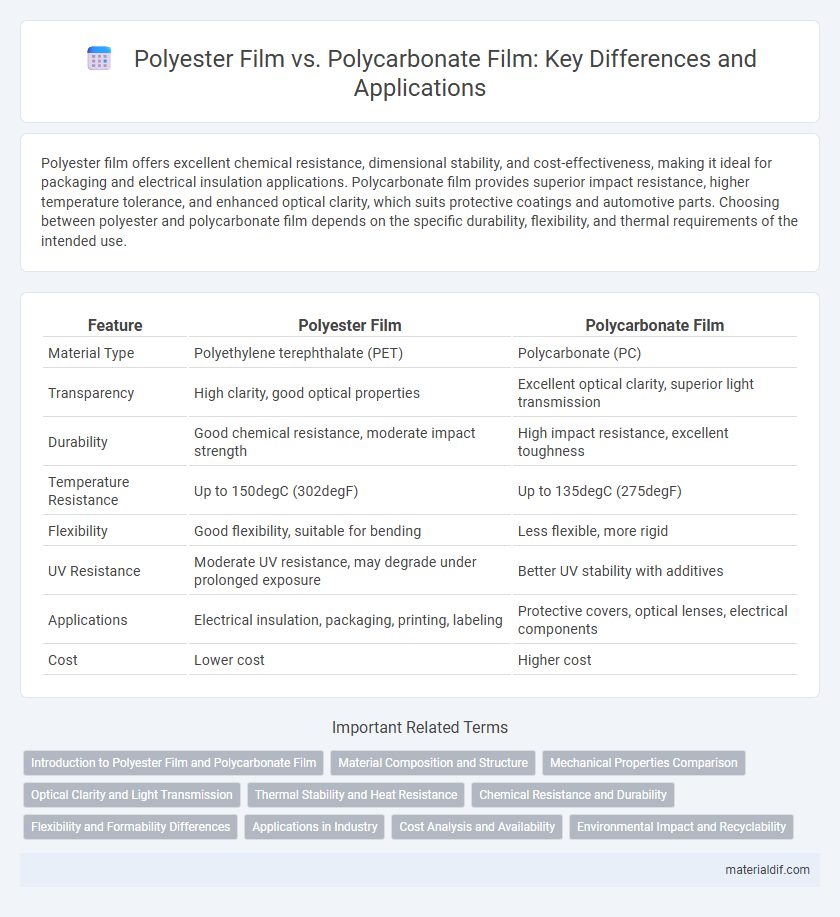 Polyester Film vs. Polycarbonate Film: Key Differences and Applications