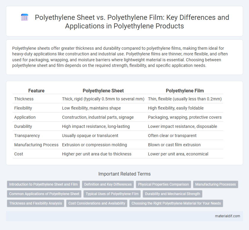 Polyethylene Sheet vs. Polyethylene Film: Key Differences and Applications in Polyethylene Products