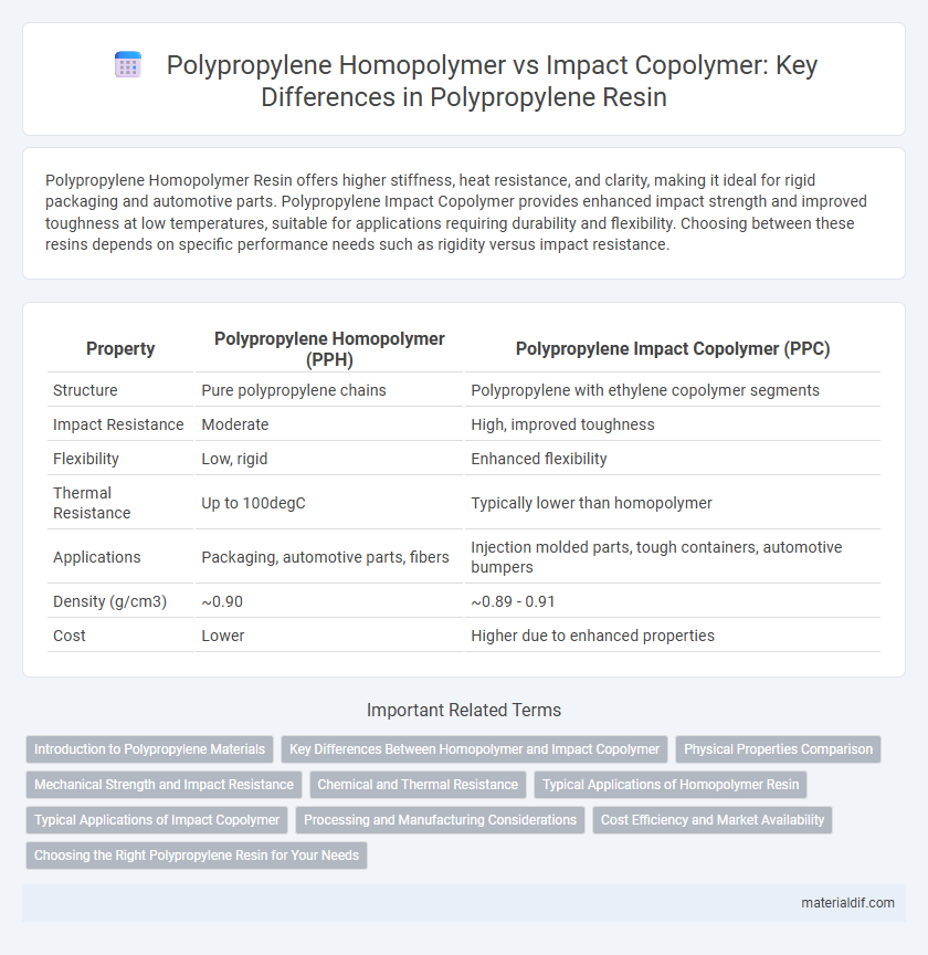 Polypropylene Homopolymer vs Impact Copolymer: Key Differences in Polypropylene Resin