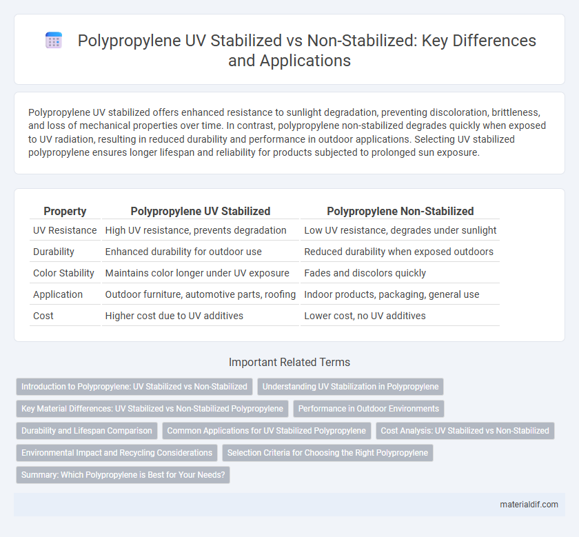Polypropylene UV Stabilized vs Non-Stabilized: Key Differences and Applications