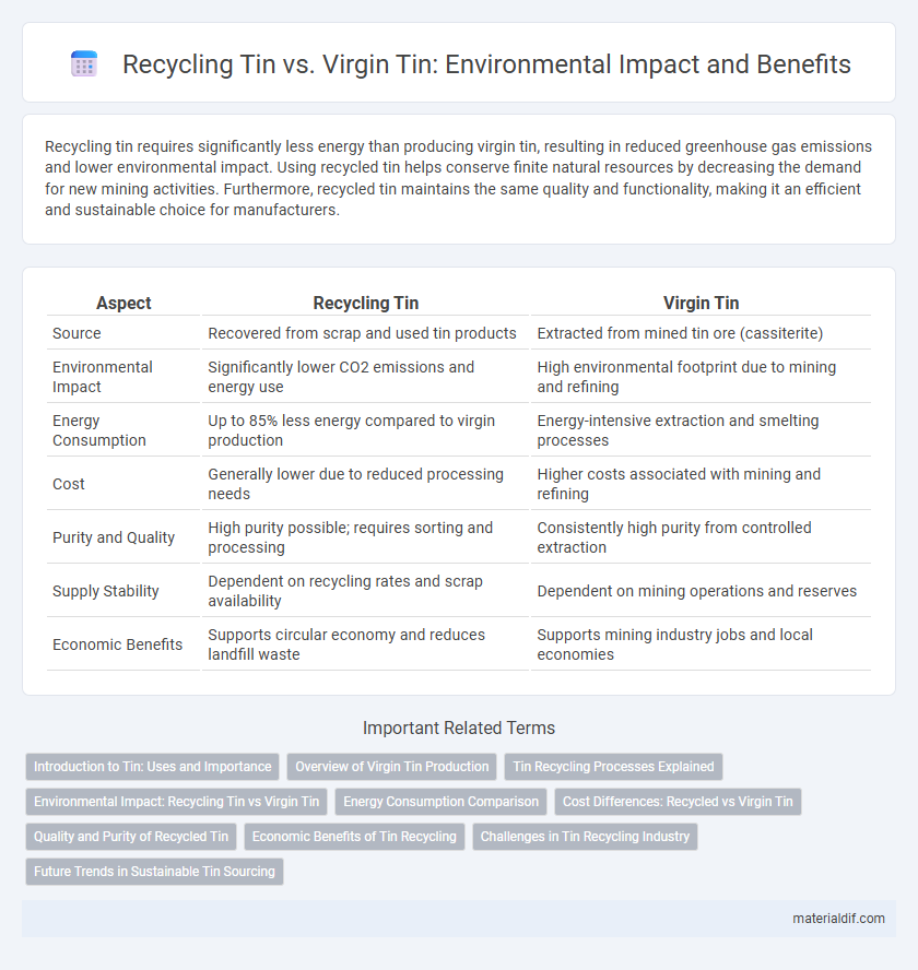 Recycling Tin vs. Virgin Tin: Environmental Impact and Benefits