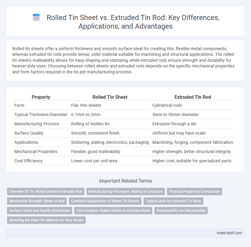 Rolled Tin Sheet vs. Extruded Tin Rod: Key Differences, Applications, and Advantages