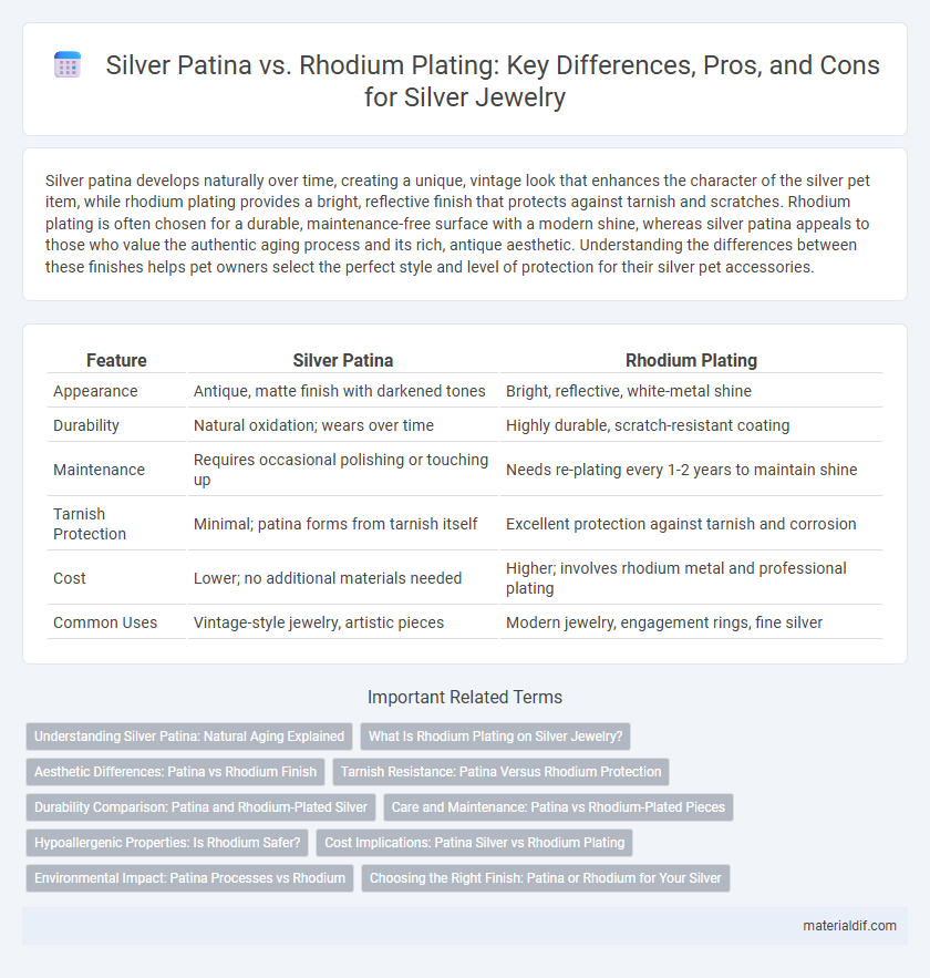 Silver Patina vs. Rhodium Plating: Key Differences, Pros, and Cons for Silver Jewelry