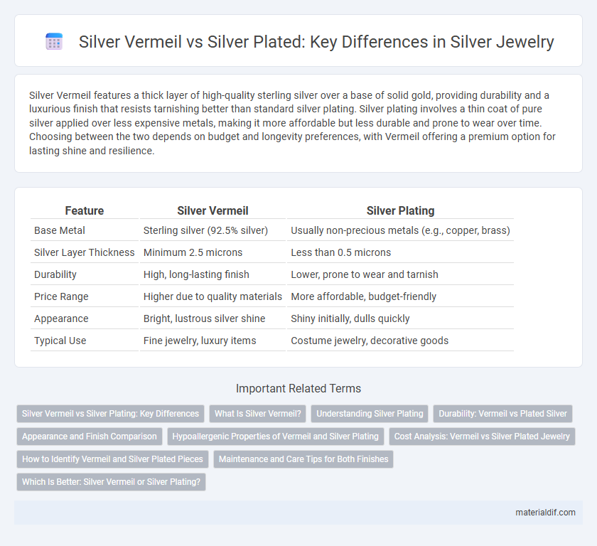 Silver Vermeil vs Silver Plated: Key Differences in Silver Jewelry