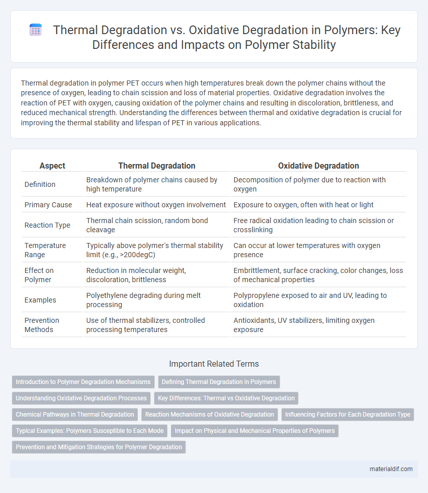 Thermal Degradation vs. Oxidative Degradation in Polymers: Key Differences and Impacts on Polymer Stability