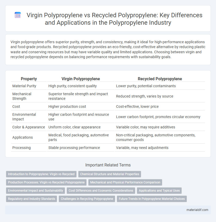 Virgin Polypropylene vs Recycled Polypropylene: Key Differences and Applications in the Polypropylene Industry