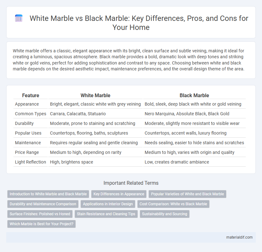 White Marble vs Black Marble: Key Differences, Pros, and Cons for Your Home