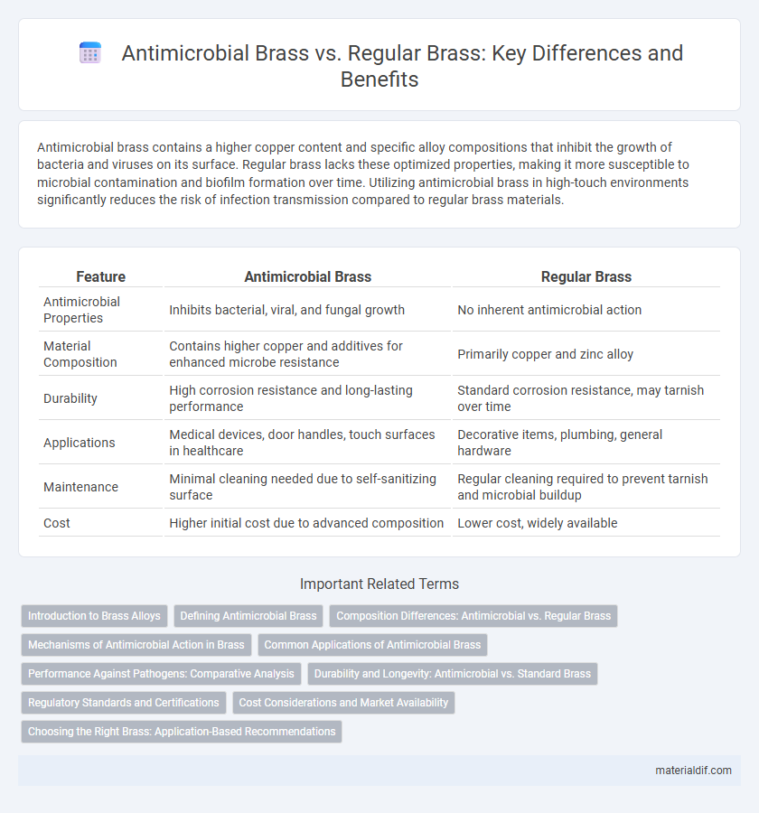 Antimicrobial Brass vs. Regular Brass: Key Differences and Benefits