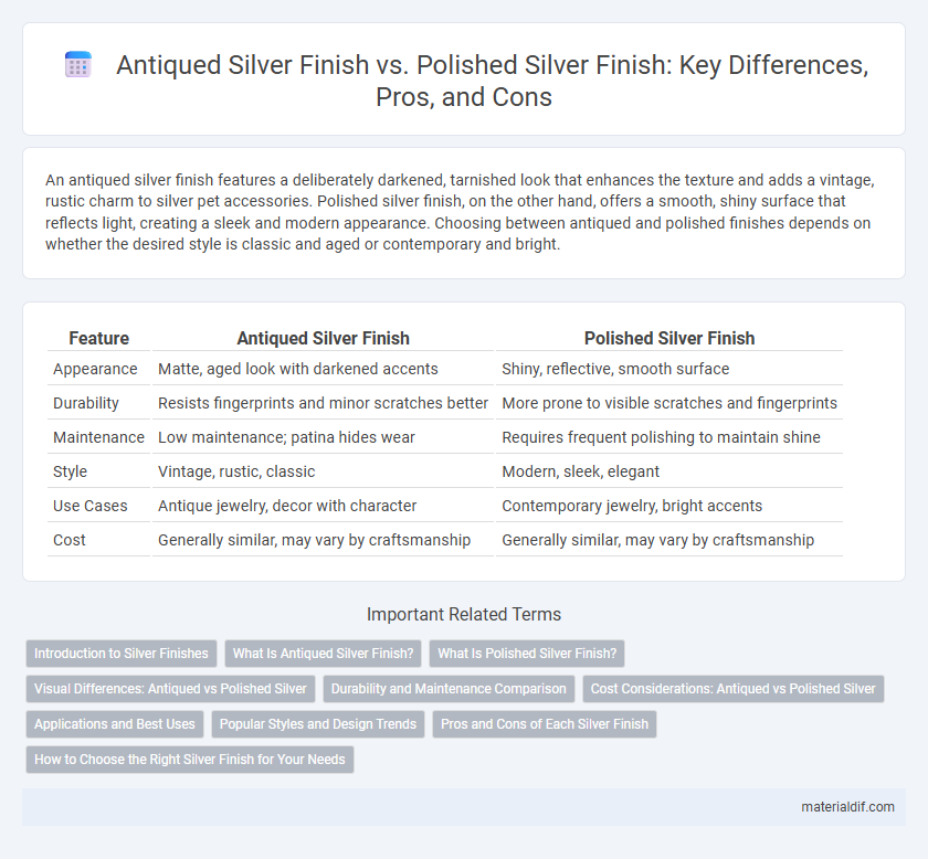 Antiqued Silver Finish vs. Polished Silver Finish: Key Differences, Pros, and Cons